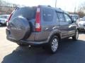 2005 Pewter Pearl Honda CR-V Special Edition 4WD  photo #9