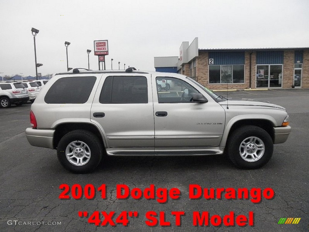 2001 Durango SLT 4x4 - Light Pewter Metallic / Dark Slate Gray photo #1