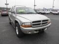 Light Pewter Metallic - Durango SLT 4x4 Photo No. 2