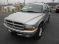 Light Pewter Metallic - Durango SLT 4x4 Photo No. 3