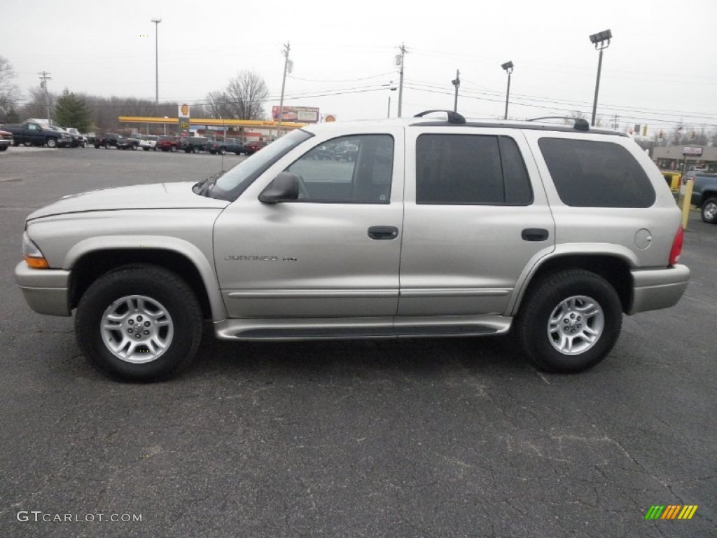 Light Pewter Metallic 2001 Dodge Durango SLT 4x4 Exterior Photo #59896109