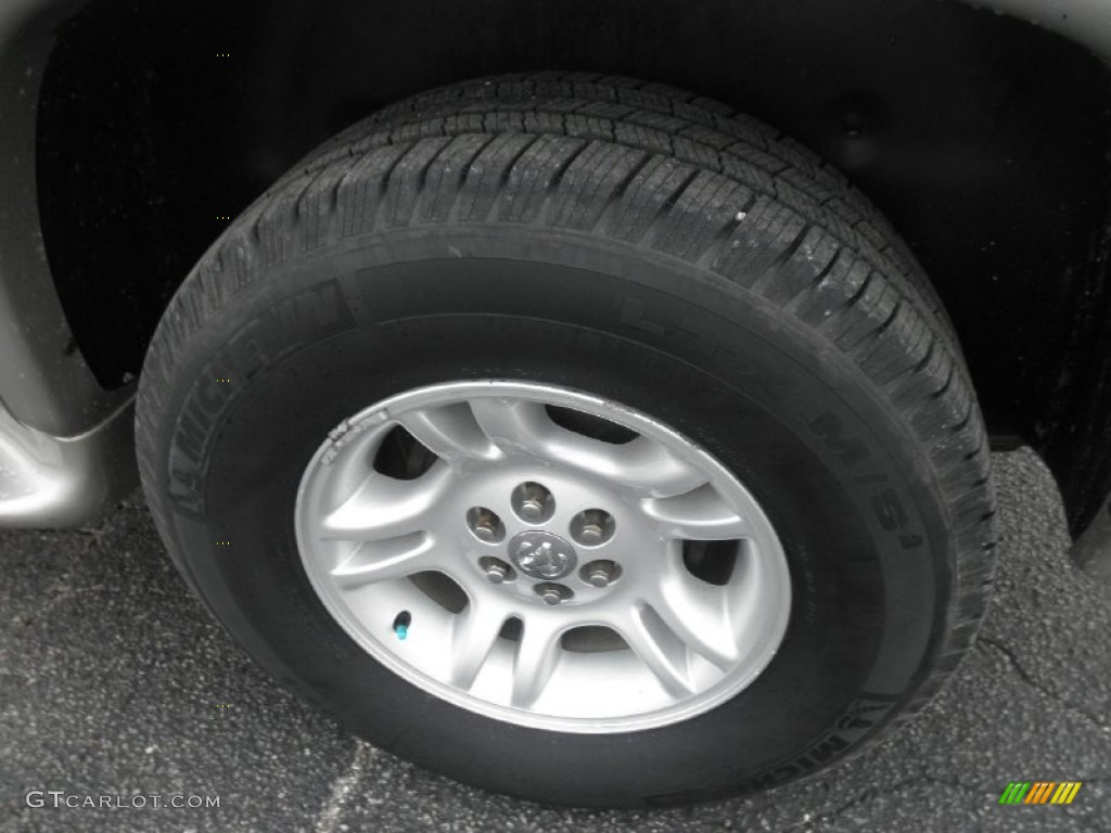 2001 Durango SLT 4x4 - Light Pewter Metallic / Dark Slate Gray photo #16