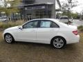 Arctic White - C 300 Luxury Photo No. 2