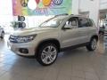 White Gold Metallic - Tiguan SEL Photo No. 1