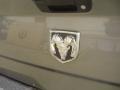 Mineral Gray Metallic - Ram 1500 Express Regular Cab 4x4 Photo No. 13