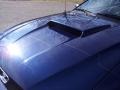 2002 True Blue Metallic Ford Mustang GT Coupe  photo #10
