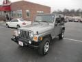 Silverstone Metallic - Wrangler Sport 4x4 Photo No. 4