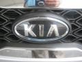 Clear Silver - Rio LX Sedan Photo No. 20