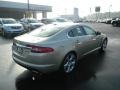 Winter Gold Metallic - XF Supercharged Photo No. 3