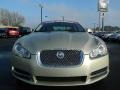 Winter Gold Metallic - XF Supercharged Photo No. 15