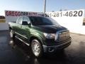 2012 Spruce Green Mica Toyota Tundra TSS Double Cab 4x4  photo #1