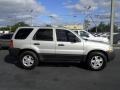 2003 Gold Ash Metallic Ford Escape XLT V6  photo #10