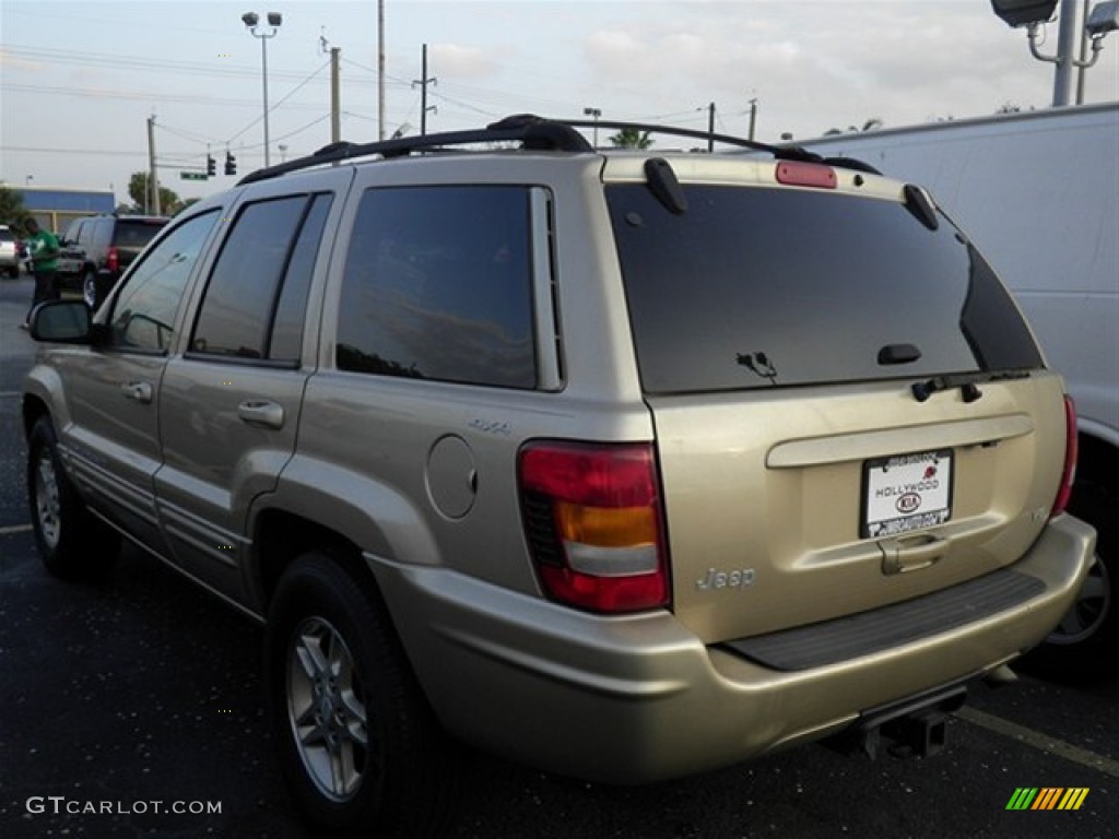 1999 Grand Cherokee Limited 4x4 - Champagne Pearl / Camel photo #5