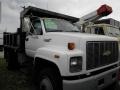 Summit White - C Series Kodiak Regular Cab Dump Truck Photo No. 2