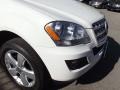 2010 Arctic White Mercedes-Benz ML 350  photo #9