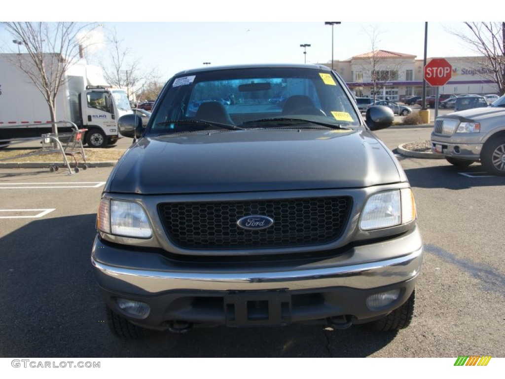 2002 F150 XL Regular Cab 4x4 - Dark Shadow Grey Metallic / Medium Graphite photo #2
