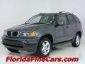Steel Grey Metallic - X5 3.0i Photo No. 1