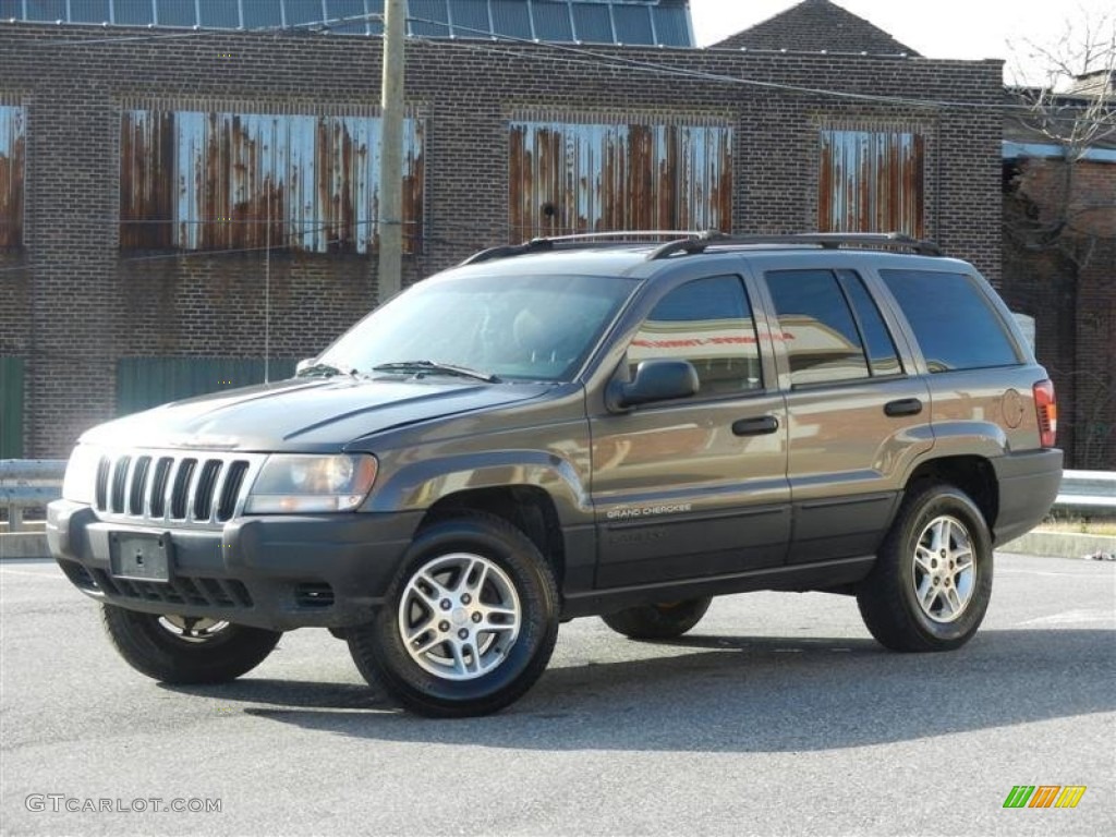 2003 Grand Cherokee Laredo 4x4 - Graphite Metallic / Dark Slate Gray photo #10
