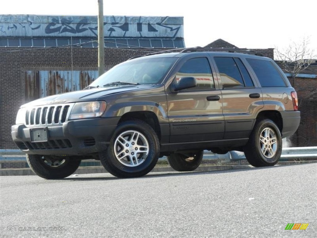 2003 Grand Cherokee Laredo 4x4 - Graphite Metallic / Dark Slate Gray photo #11