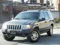 2003 Graphite Metallic Jeep Grand Cherokee Laredo 4x4  photo #12