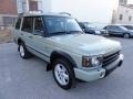 Vienna Green 2003 Land Rover Discovery SE Exterior