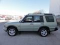 Vienna Green 2003 Land Rover Discovery SE Exterior