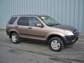 2004 Mojave Mist Metallic Honda CR-V EX 4WD  photo #1