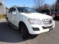 Arctic White - ML 350 4Matic Photo No. 3