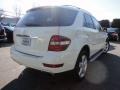 Arctic White - ML 350 4Matic Photo No. 11