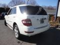 Arctic White - ML 350 4Matic Photo No. 13