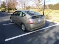 Driftwood Pearl - Prius Hybrid Photo No. 5