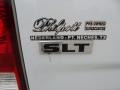 2010 Stone White Dodge Ram 1500 SLT Quad Cab  photo #18