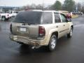 2006 Sandstone Metallic Chevrolet TrailBlazer LS  photo #5