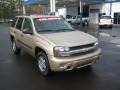 Sandstone Metallic - TrailBlazer LS Photo No. 7