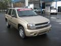 2006 Sandstone Metallic Chevrolet TrailBlazer LS  photo #7