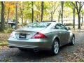 Pewter Metallic - CLS 500 Photo No. 7