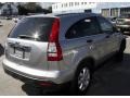 2007 Whistler Silver Metallic Honda CR-V EX 4WD  photo #5