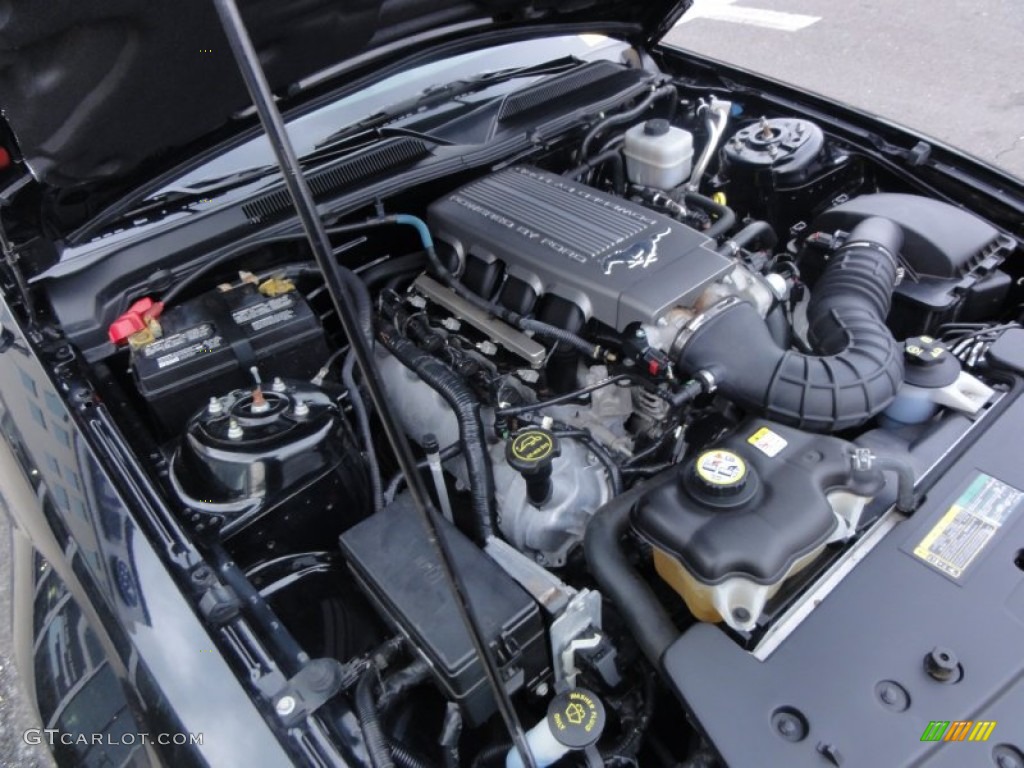 2007 Mustang GT Premium Convertible - Black / Black/Dove Accent photo #27