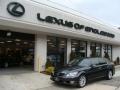 Smoky Granite Mica - LS 460 AWD Photo No. 1