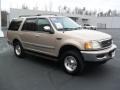 Light Prairie Tan Metallic - Expedition XLT 4x4 Photo No. 5