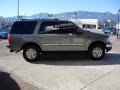 1999 Spruce Green Metallic Ford Expedition XLT 4x4  photo #7