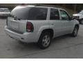 2007 Silverstone Metallic Chevrolet TrailBlazer LT 4x4  photo #17