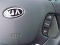 2009 Bright Silver Kia Rondo EX V6  photo #13