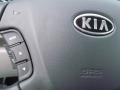2009 Bright Silver Kia Rondo EX V6  photo #14