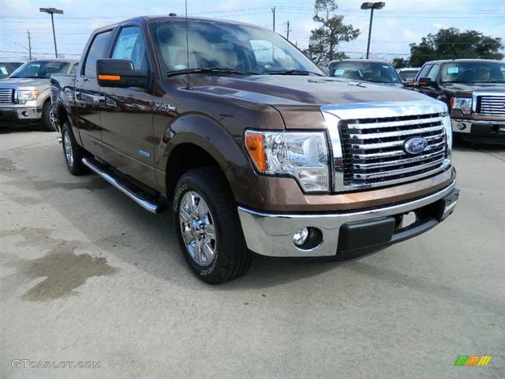 2012 F150 XLT SuperCrew - Golden Bronze Metallic / Pale Adobe photo #3