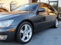 Graphite Gray Pearl - IS 300 Photo No. 8