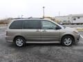  2006 MPV ES Bronze Metal