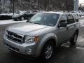 Ingot Silver Metallic - Escape XLT Photo No. 4