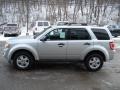 Ingot Silver Metallic - Escape XLT Photo No. 5