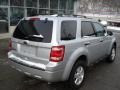 Ingot Silver Metallic - Escape XLT Photo No. 8